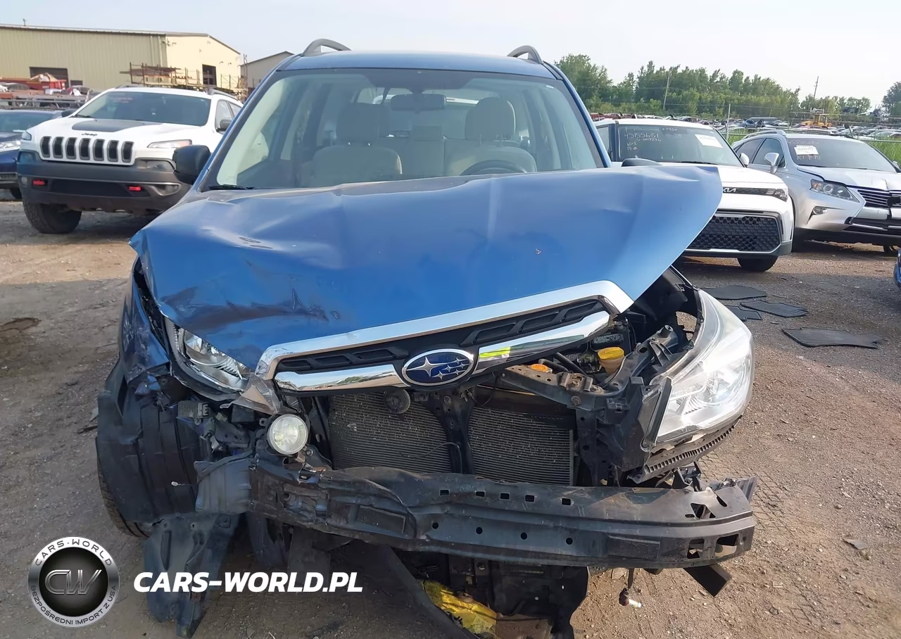 2018 Subaru Forester 2.5I VIN:JF2SJABC1JH425069 - 12