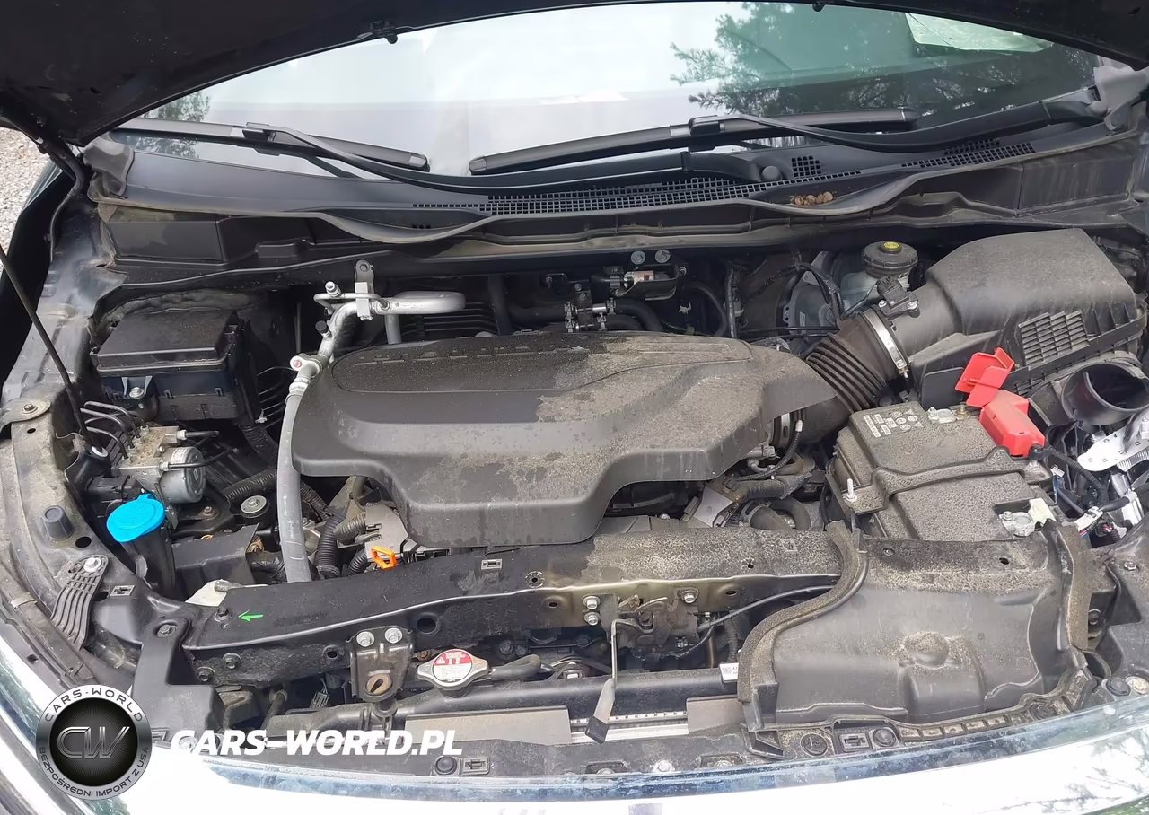 2024 Honda Odyssey Touring VIN:5FNRL6H87RB022457 - 10