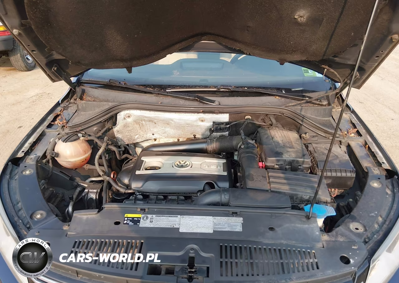 2013 Volkswagen Tiguan Se VIN:WVGBV7AX8DW544159 - 10