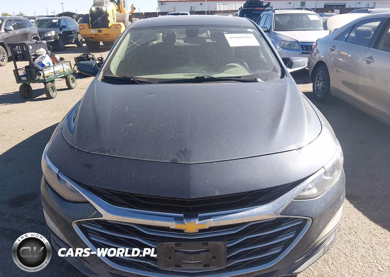 2019 Chevrolet Malibu Lt VIN:1G1ZD5ST1KF171381 - 12