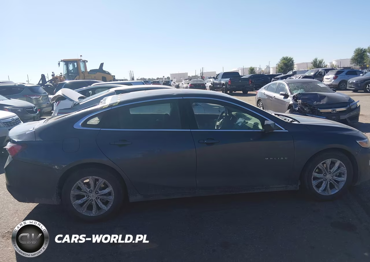 2019 Chevrolet Malibu Lt VIN:1G1ZD5ST1KF171381 - 13