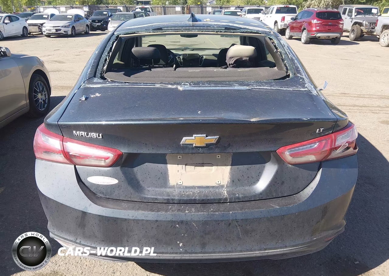 2019 Chevrolet Malibu Lt VIN:1G1ZD5ST1KF171381 - 16