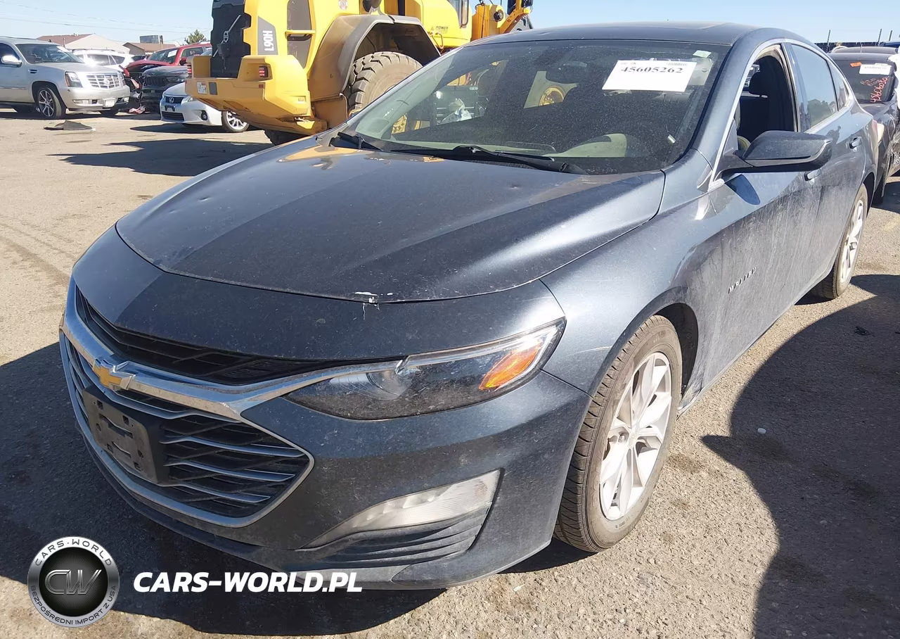 2019 Chevrolet Malibu Lt VIN:1G1ZD5ST1KF171381 - 2