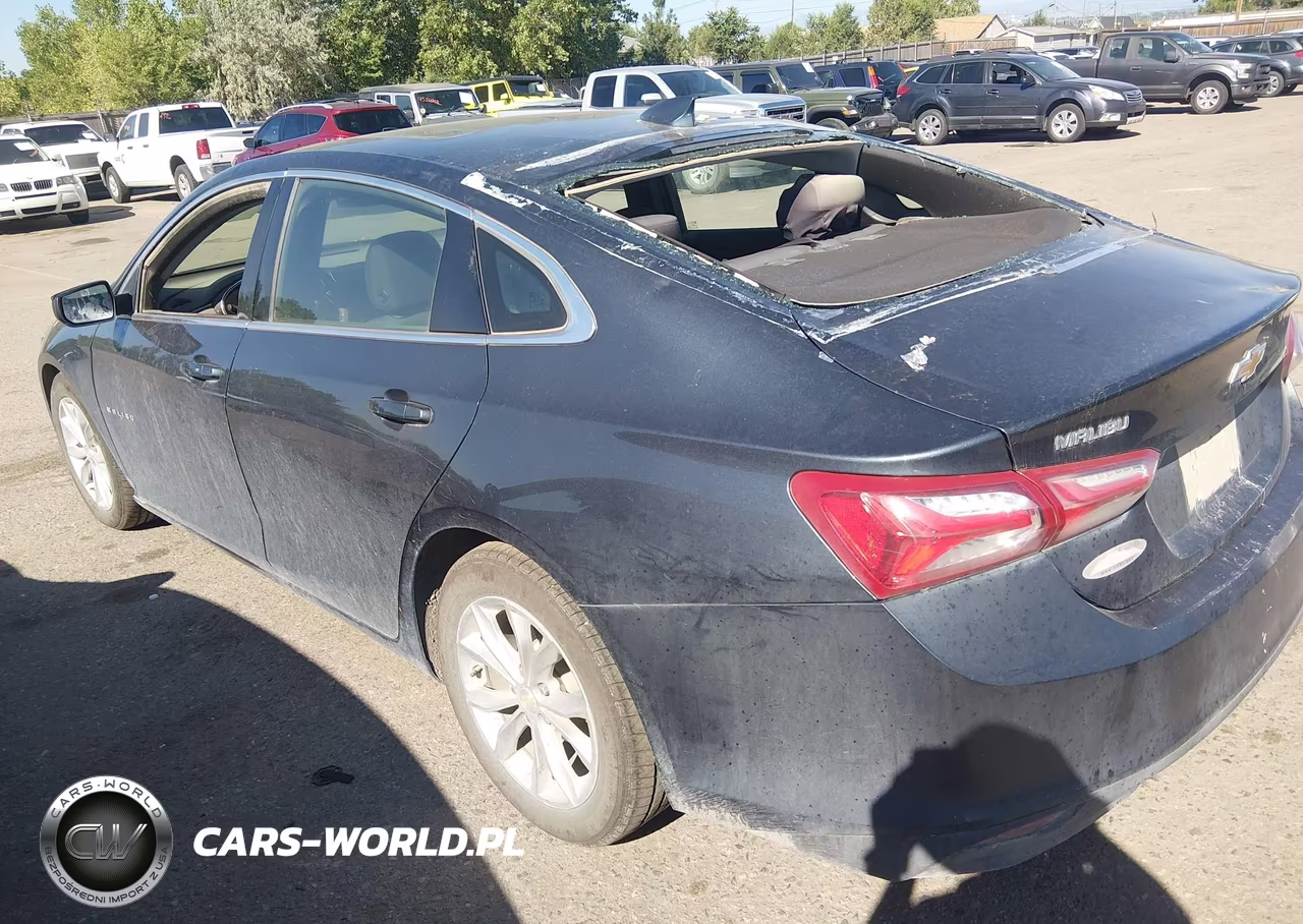 2019 Chevrolet Malibu Lt VIN:1G1ZD5ST1KF171381 - 3
