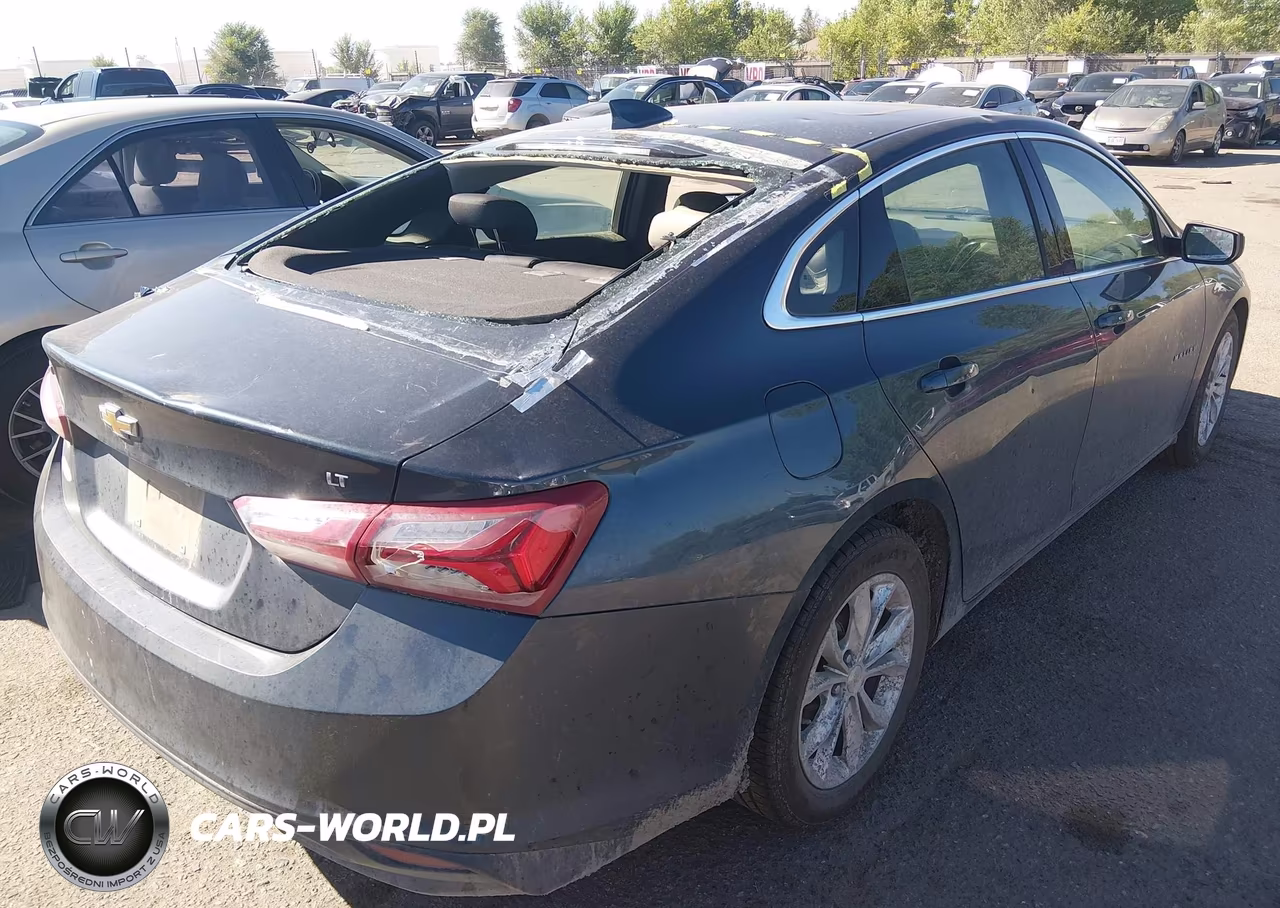 2019 Chevrolet Malibu Lt VIN:1G1ZD5ST1KF171381 - 4