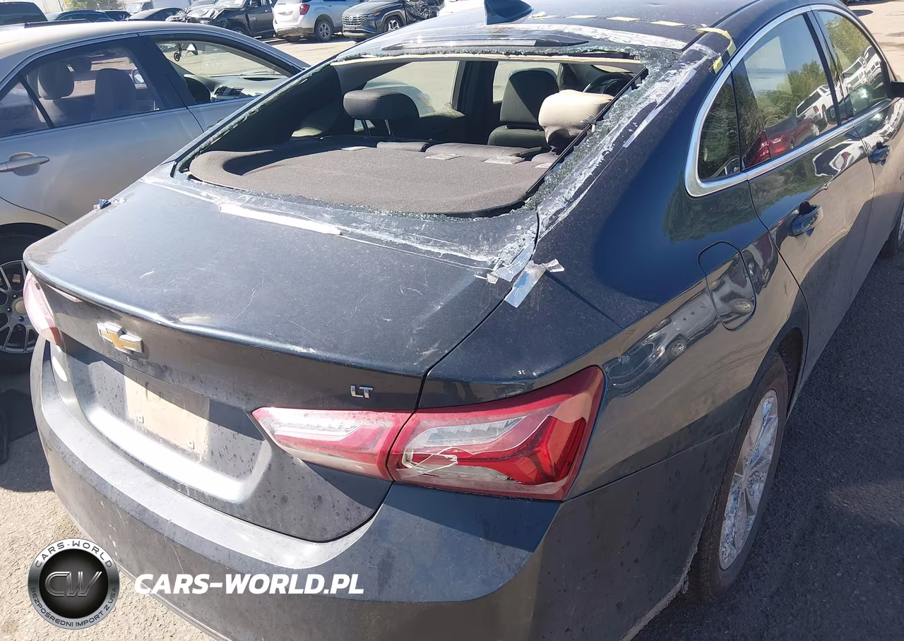 2019 Chevrolet Malibu Lt VIN:1G1ZD5ST1KF171381 - 6