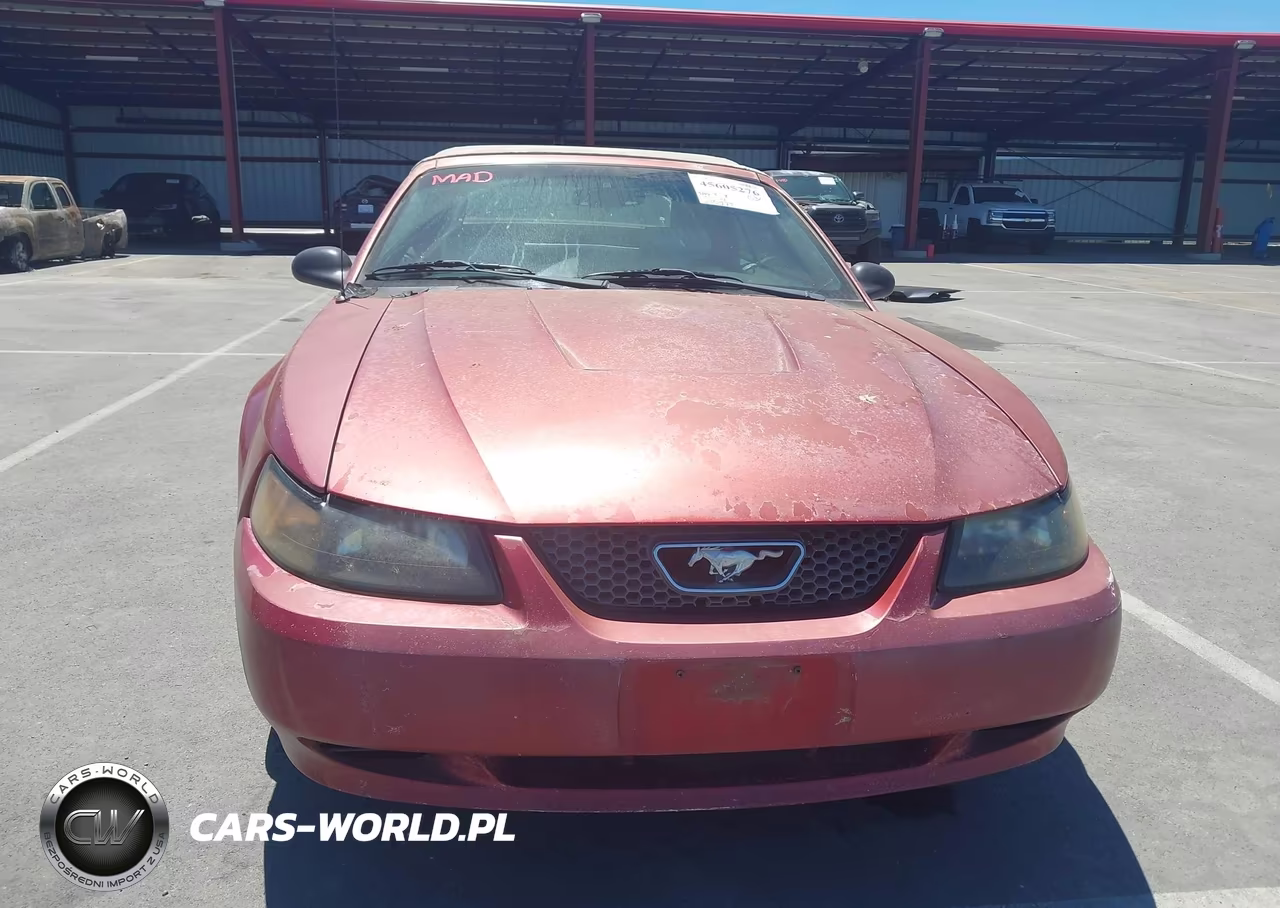 2003 Ford Mustang VIN:1FAFP44473F386143 - 6