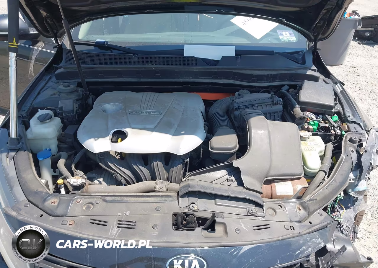 2013 Kia Optima Hybrid Ex VIN:KNAGM4AD6D5053836 - 10