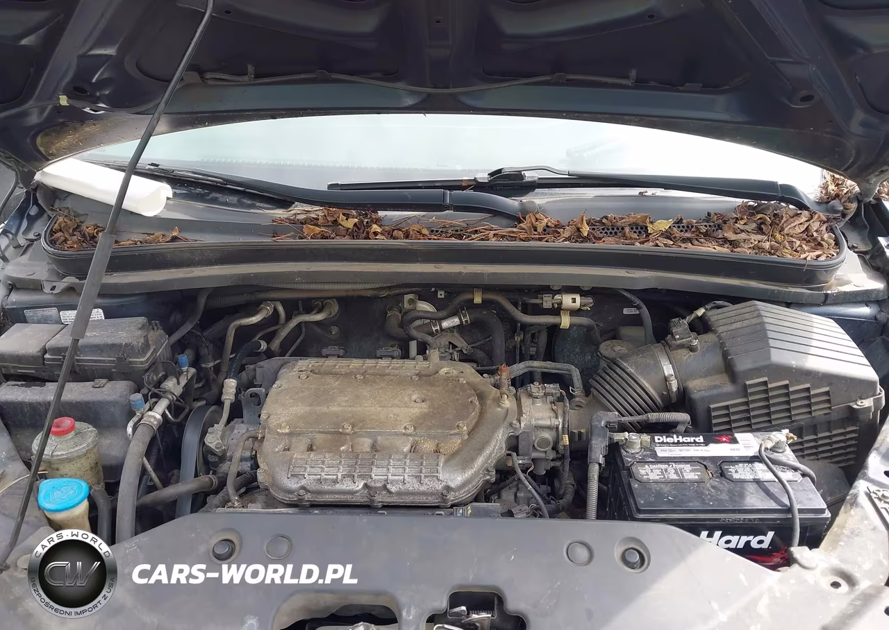 2010 Honda Odyssey Lx VIN:5FNRL3H23AB050061 - 10