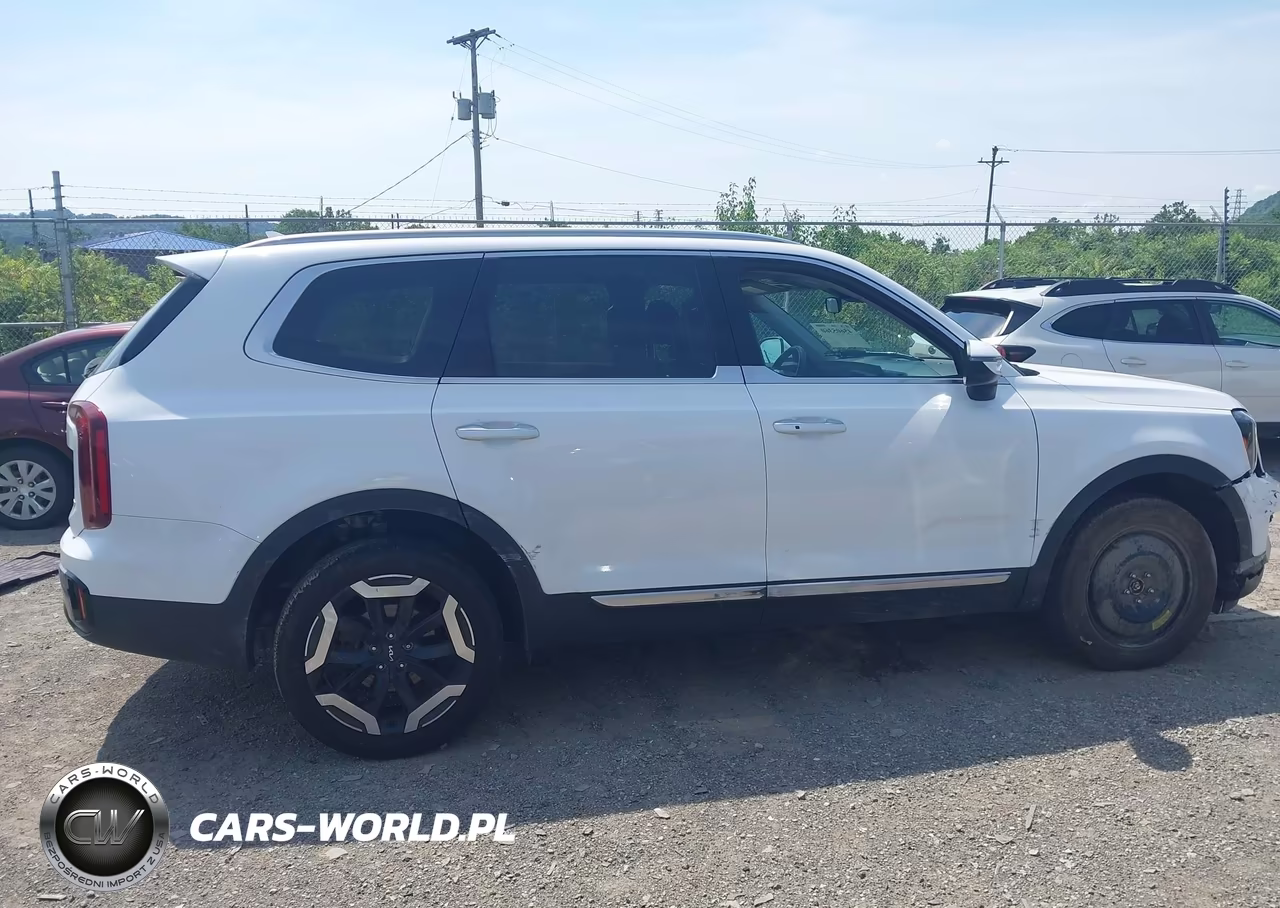 2024 Kia Telluride S VIN:5XYP6DGC0RG561441 - 14