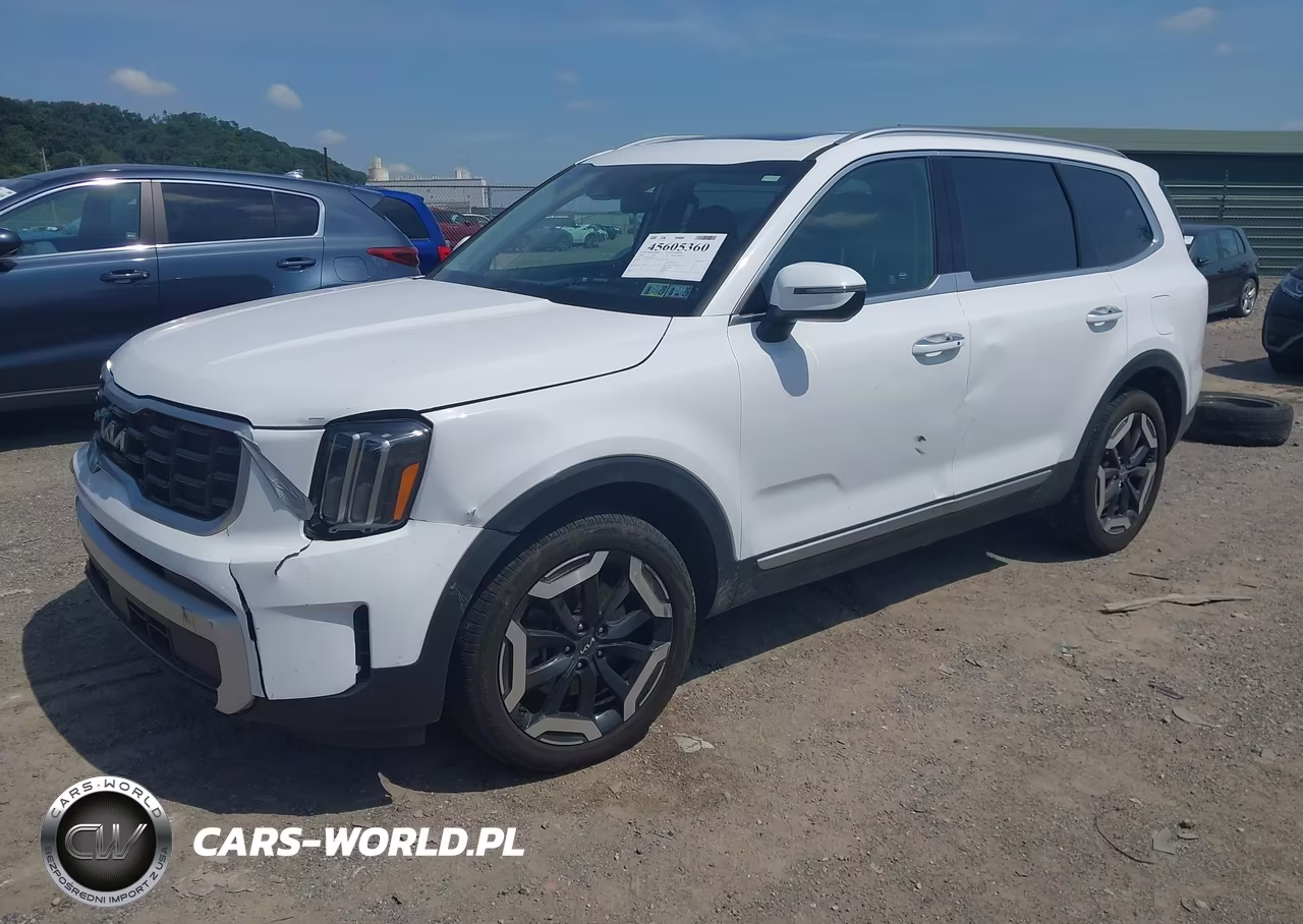 2024 Kia Telluride S VIN:5XYP6DGC0RG561441 - 2