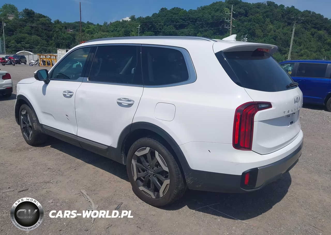 2024 Kia Telluride S VIN:5XYP6DGC0RG561441 - 3