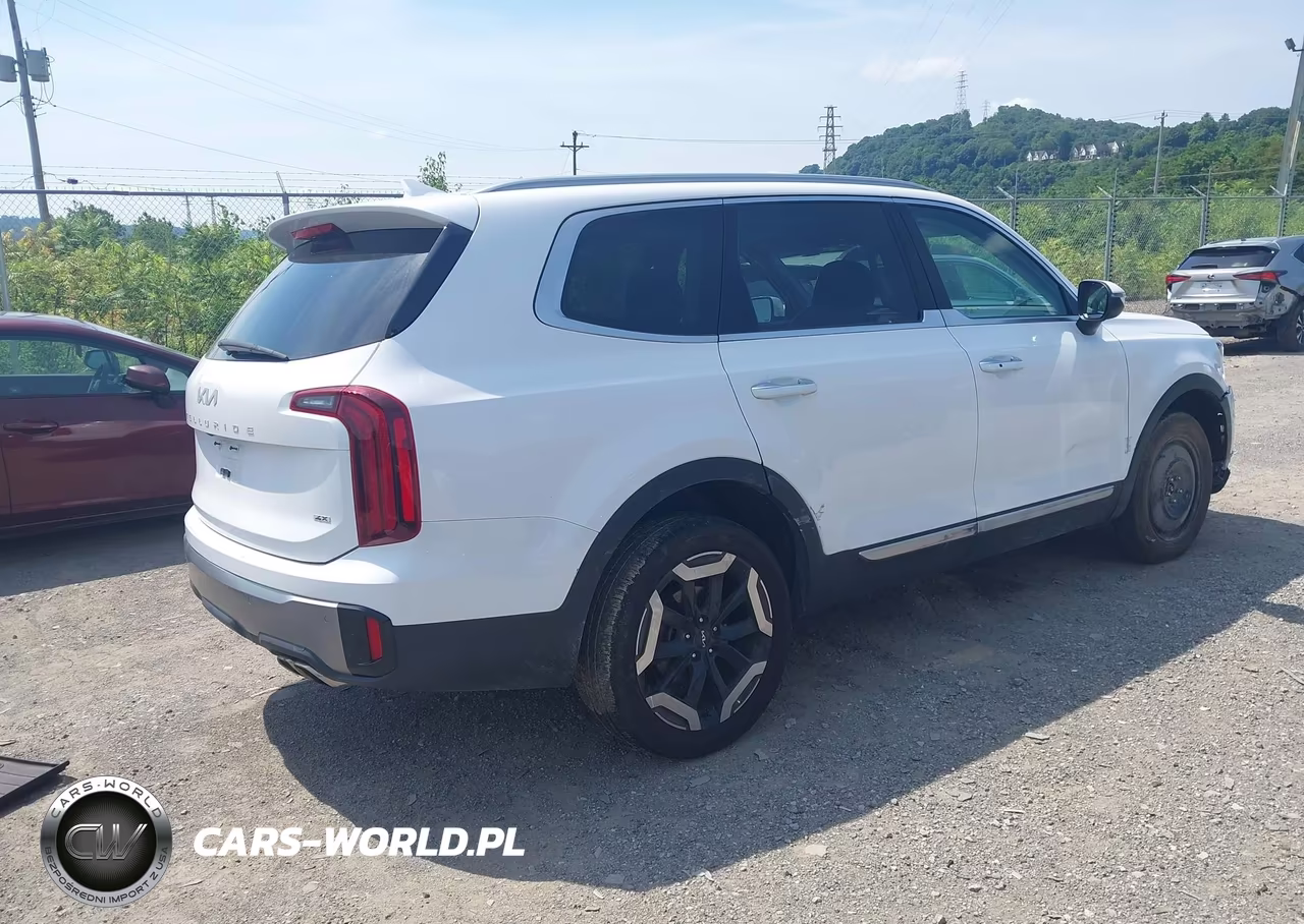 2024 Kia Telluride S VIN:5XYP6DGC0RG561441 - 4