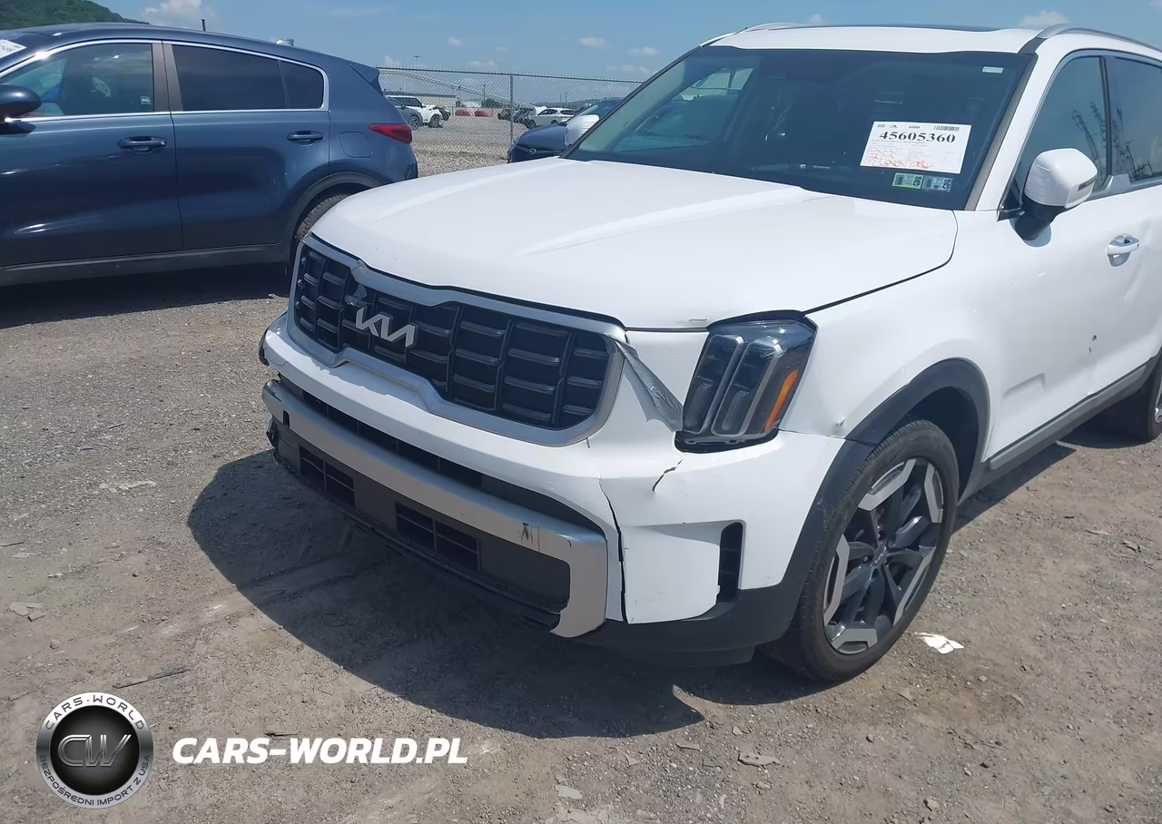 2024 Kia Telluride S VIN:5XYP6DGC0RG561441 - 6