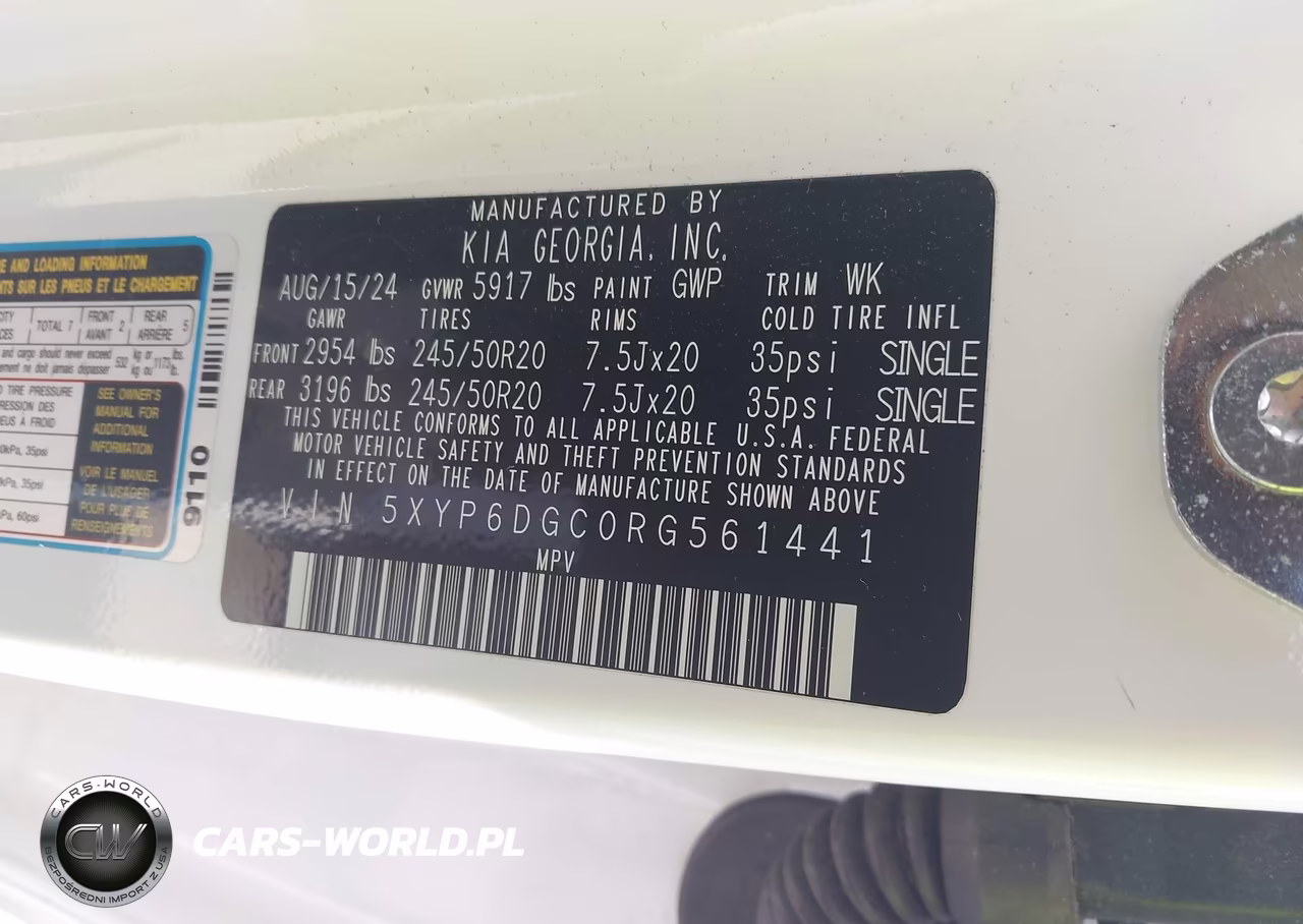 2024 Kia Telluride S VIN:5XYP6DGC0RG561441 - 9