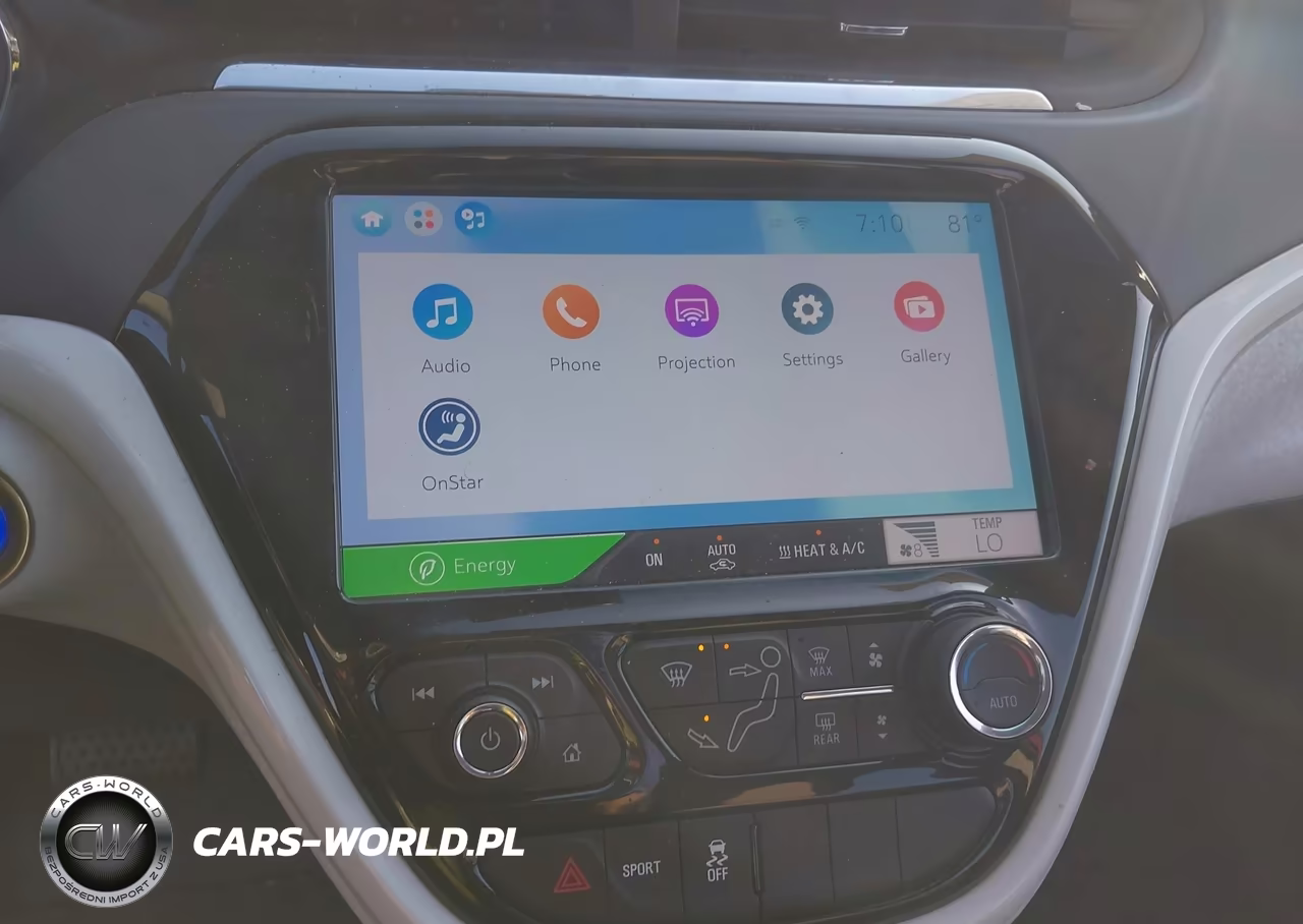 2018 Chevrolet Bolt Ev Lt VIN:1G1FW6S0XJ4139449 - 18