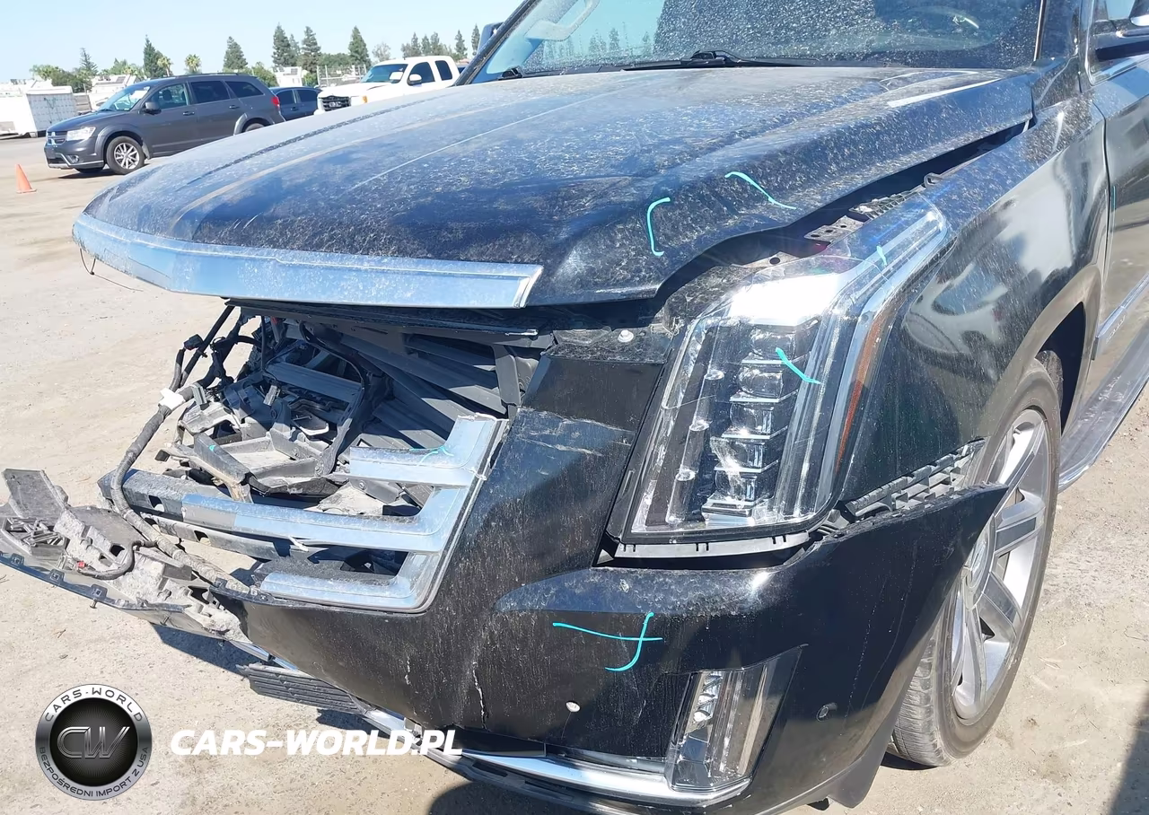 2020 Cadillac Escalade Esv 4Wd Premium Luxury VIN:1GYS4JKJ2LR305972 - 20