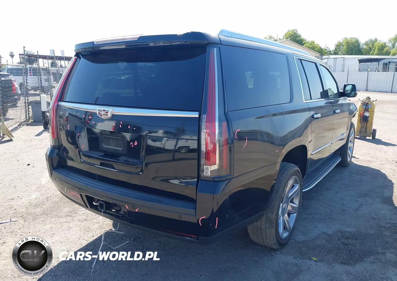 2020 Cadillac Escalade Esv 4Wd Premium Luxury VIN:1GYS4JKJ2LR305972 - 4