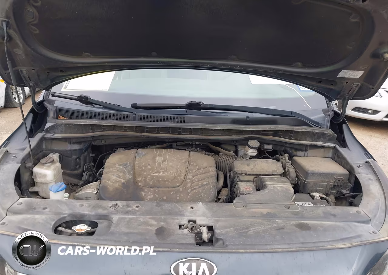 2016 Kia Sedona Sx VIN:KNDMC5C15G6169724 - 10