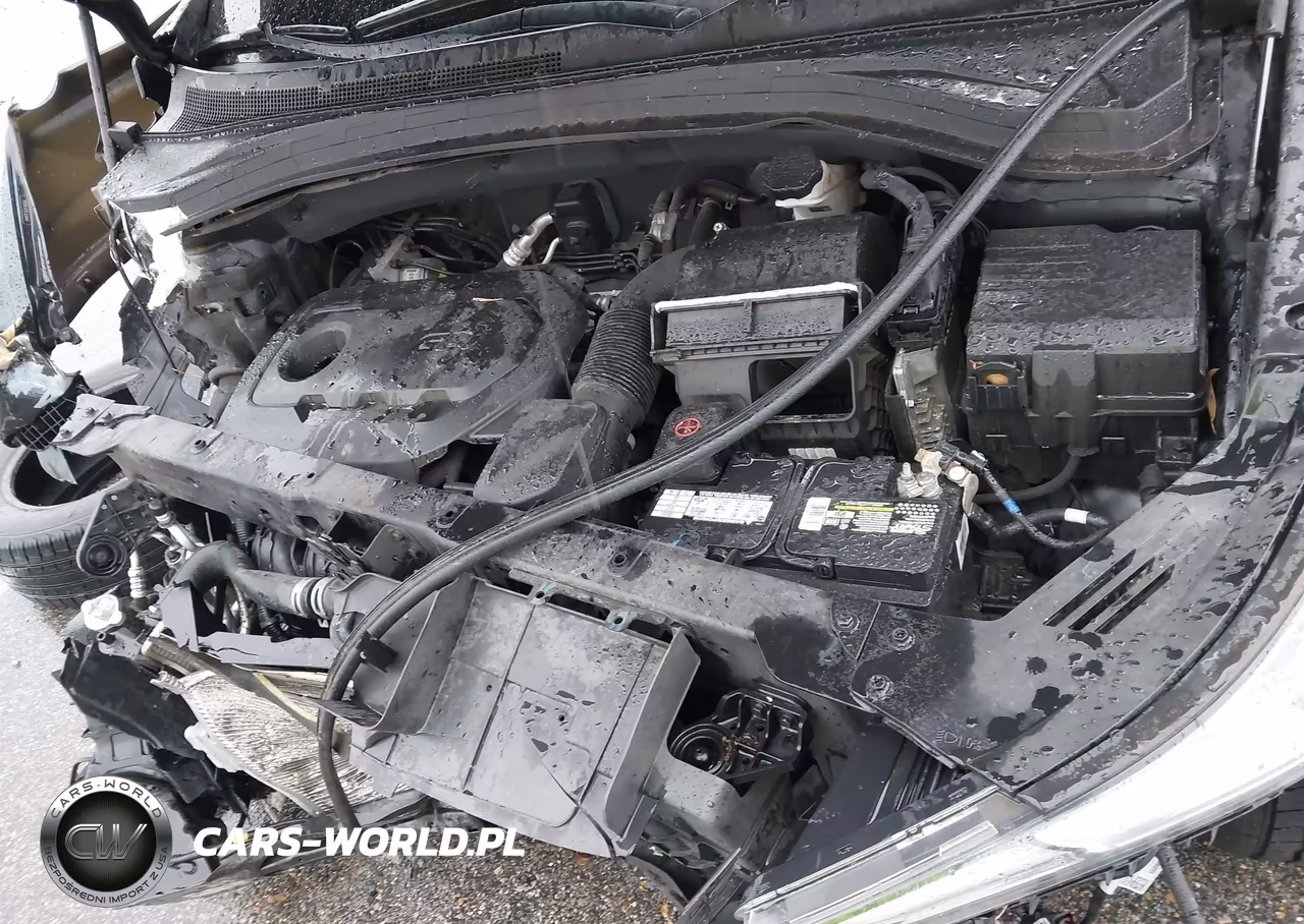 2019 Hyundai Santa Fe Sel Plus VIN:5NMS3CAD2KH105046 - 10