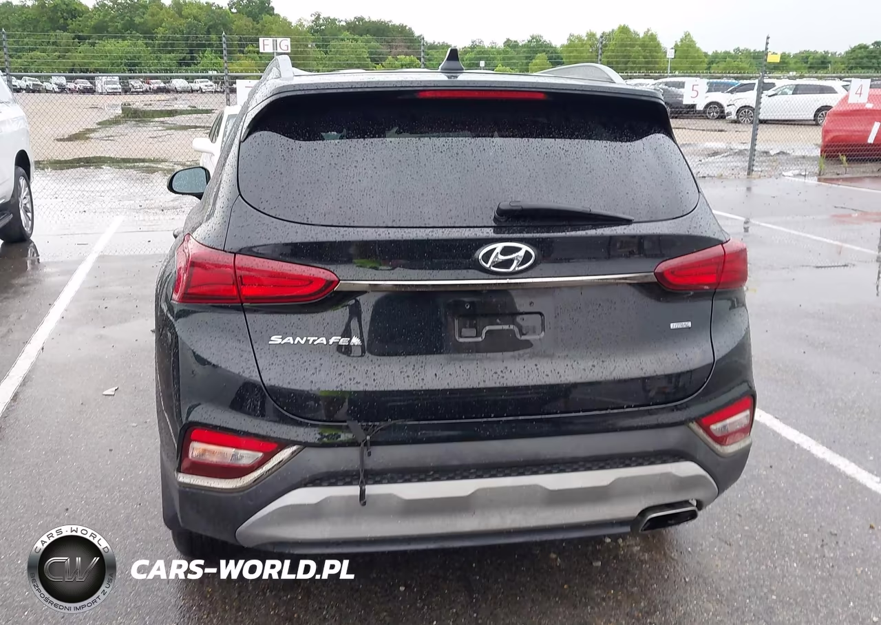 2019 Hyundai Santa Fe Sel Plus VIN:5NMS3CAD2KH105046 - 17
