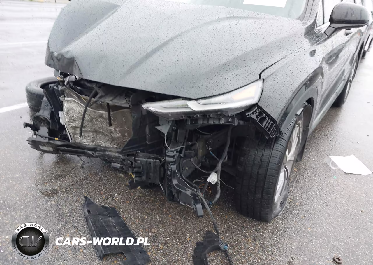 2019 Hyundai Santa Fe Sel Plus VIN:5NMS3CAD2KH105046 - 18