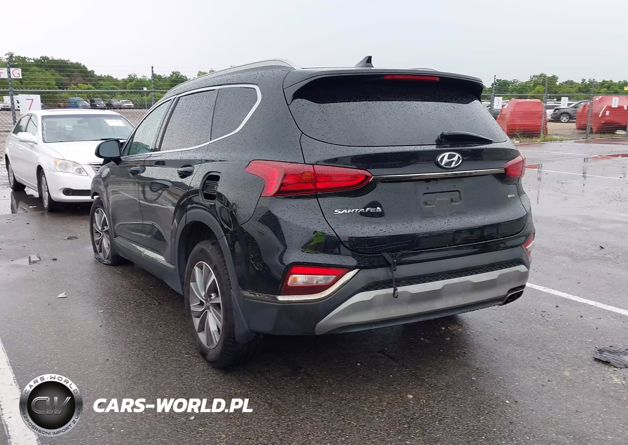2019 Hyundai Santa Fe Sel Plus VIN:5NMS3CAD2KH105046 - 3