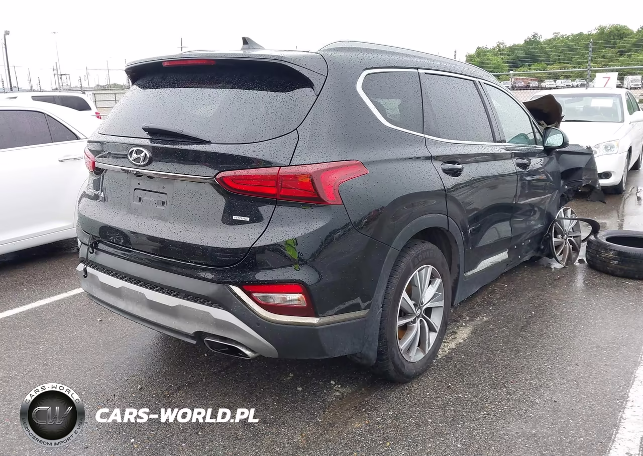 2019 Hyundai Santa Fe Sel Plus VIN:5NMS3CAD2KH105046 - 4
