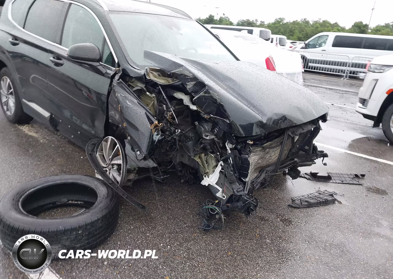 2019 Hyundai Santa Fe Sel Plus VIN:5NMS3CAD2KH105046 - 6