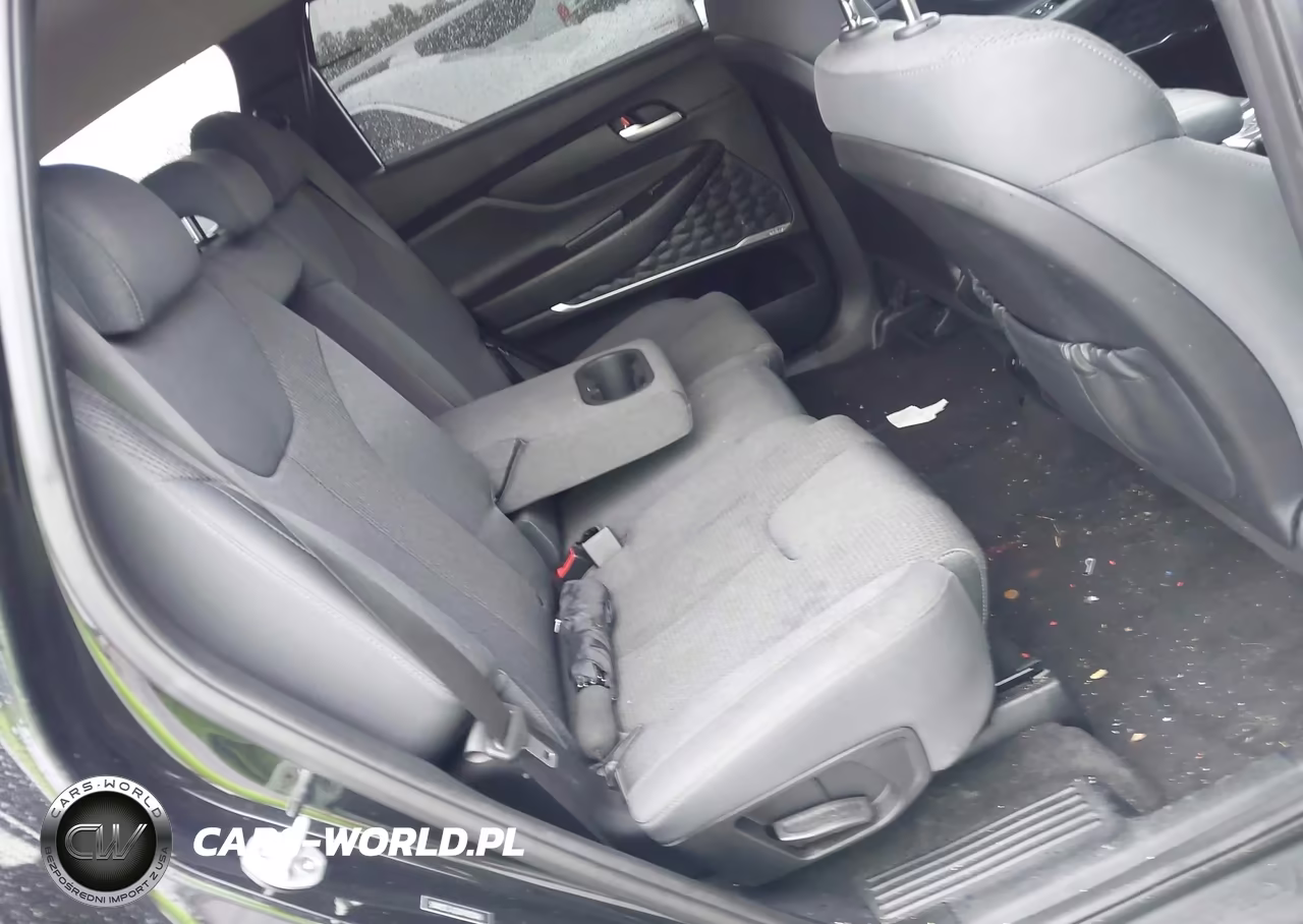 2019 Hyundai Santa Fe Sel Plus VIN:5NMS3CAD2KH105046 - 8