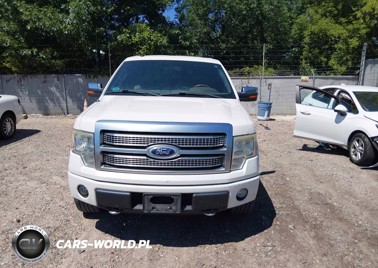 2010 Ford F-150 Fx4-Harley-Davidson-King Ranch-Lariat-Platinum-Xl-Xlt VIN:1FTFW1EV5AFB39459 - 12