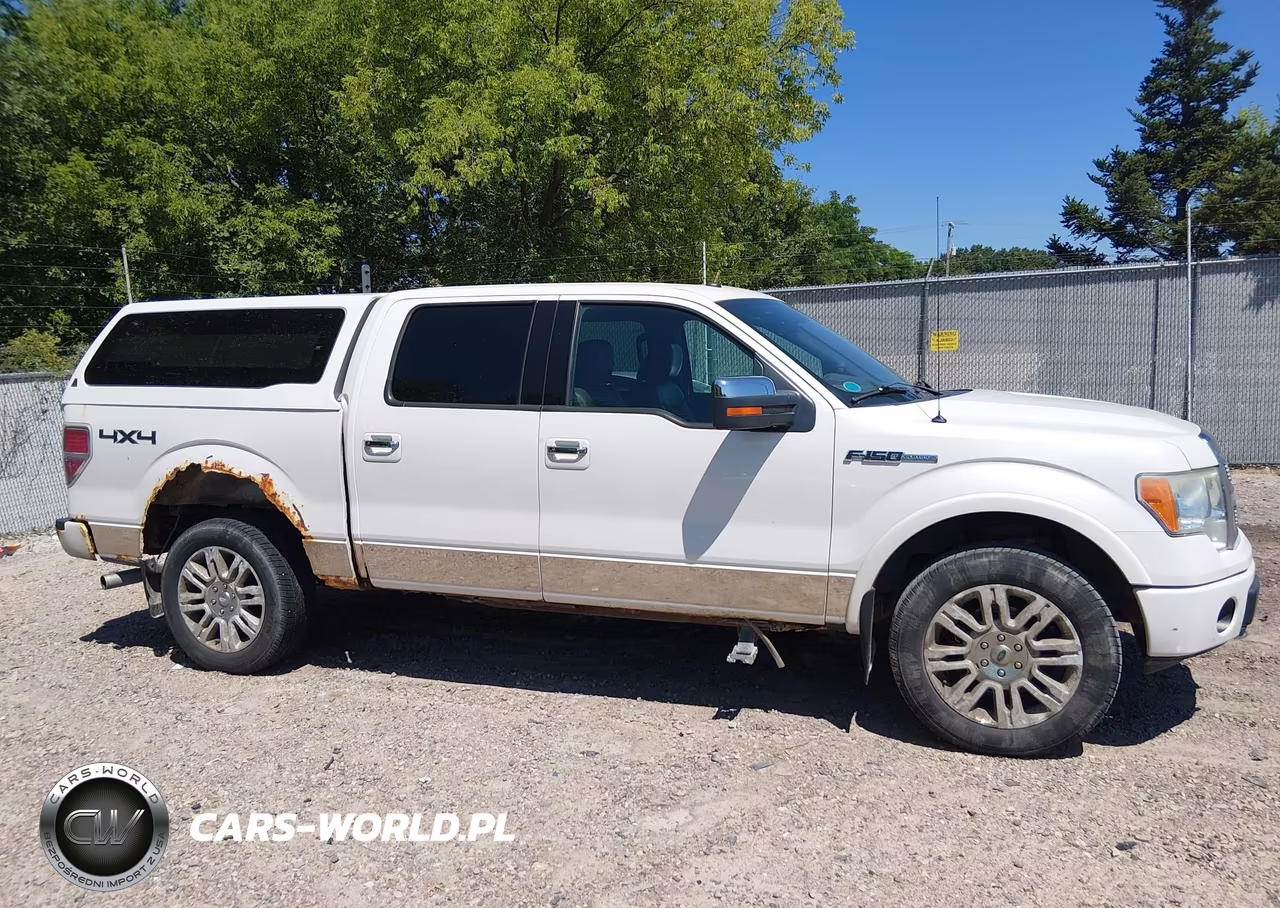 2010 Ford F-150 Fx4-Harley-Davidson-King Ranch-Lariat-Platinum-Xl-Xlt VIN:1FTFW1EV5AFB39459 - 13
