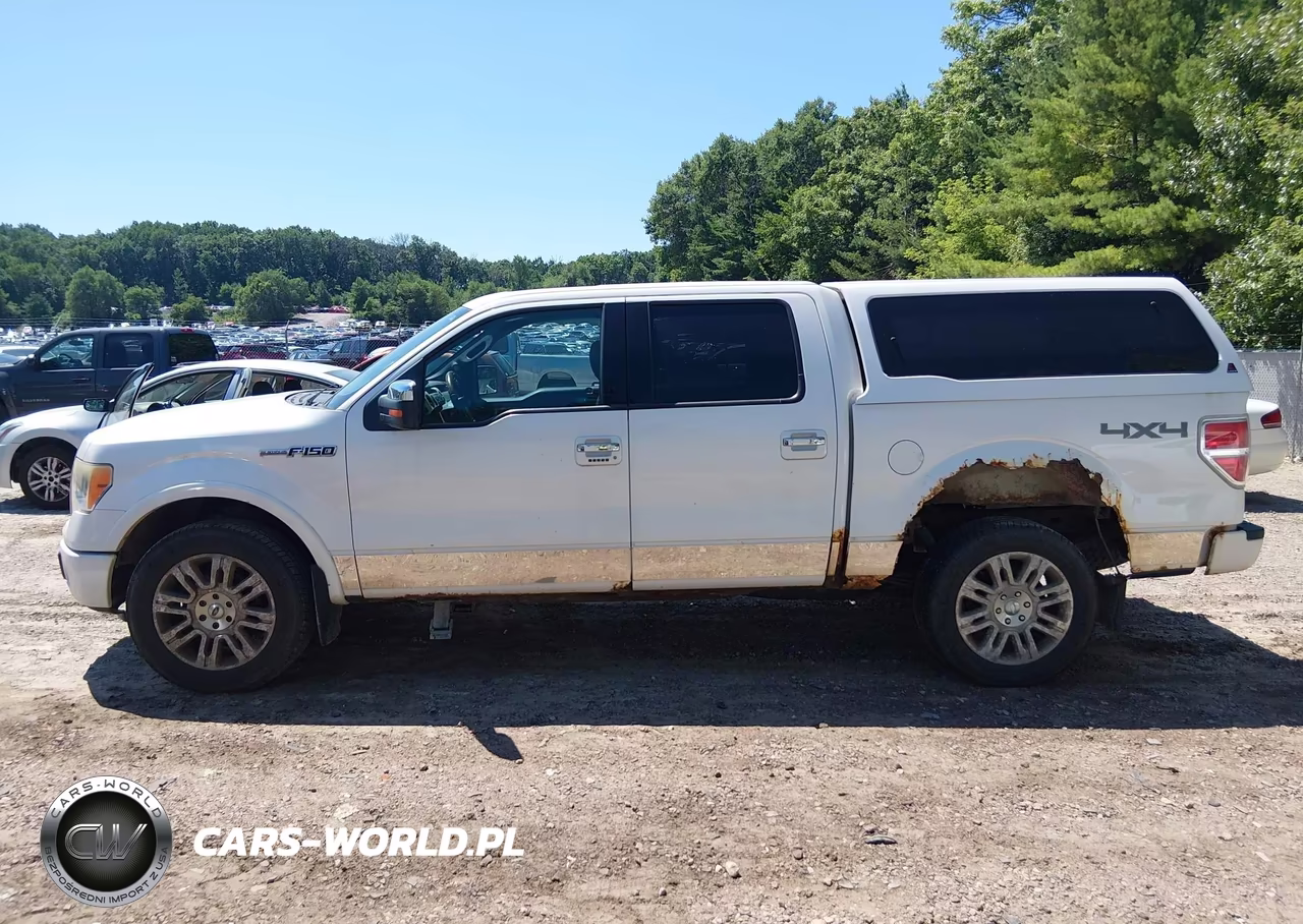 2010 Ford F-150 Fx4-Harley-Davidson-King Ranch-Lariat-Platinum-Xl-Xlt VIN:1FTFW1EV5AFB39459 - 14