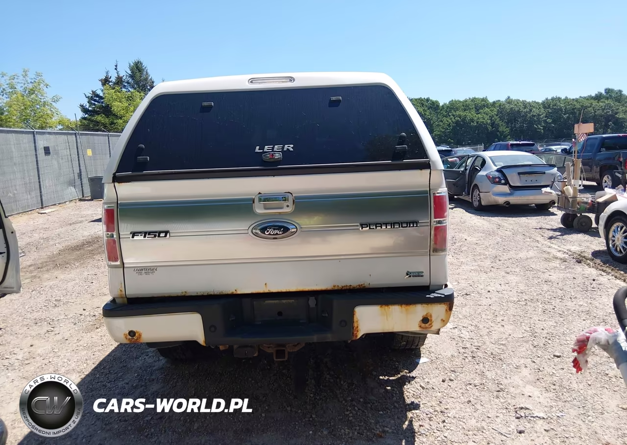 2010 Ford F-150 Fx4-Harley-Davidson-King Ranch-Lariat-Platinum-Xl-Xlt VIN:1FTFW1EV5AFB39459 - 16