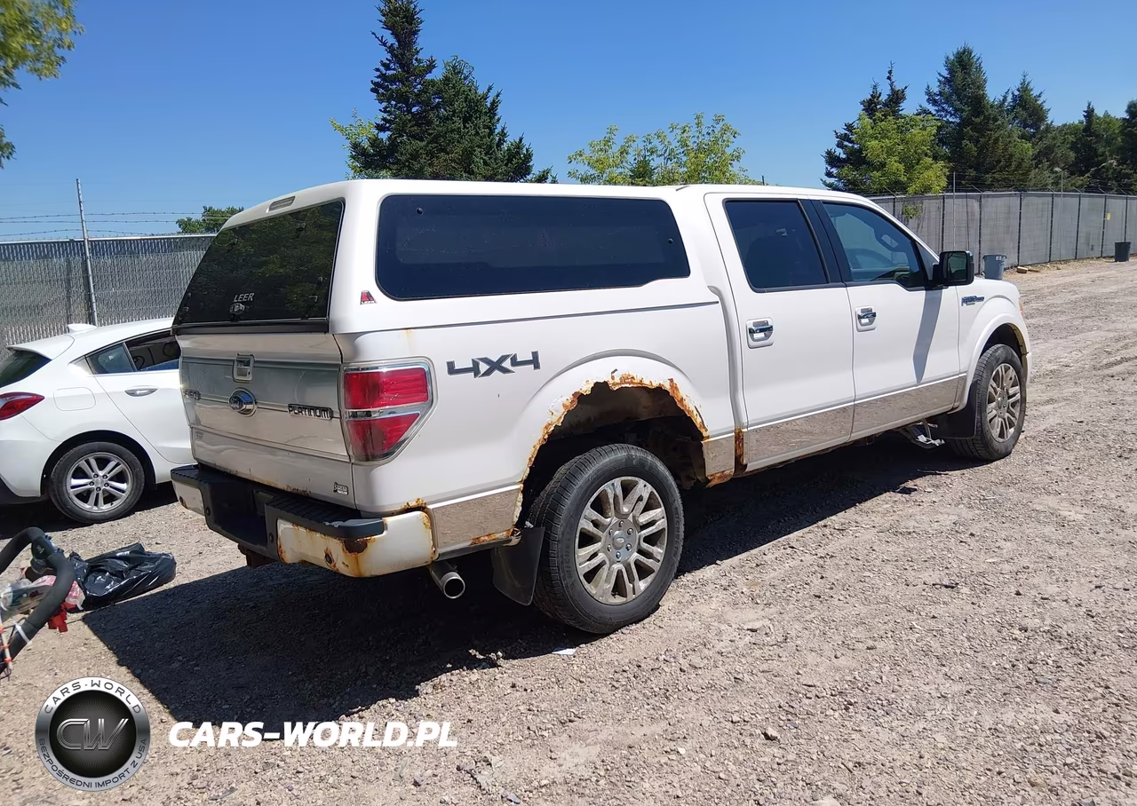 2010 Ford F-150 Fx4-Harley-Davidson-King Ranch-Lariat-Platinum-Xl-Xlt VIN:1FTFW1EV5AFB39459 - 4