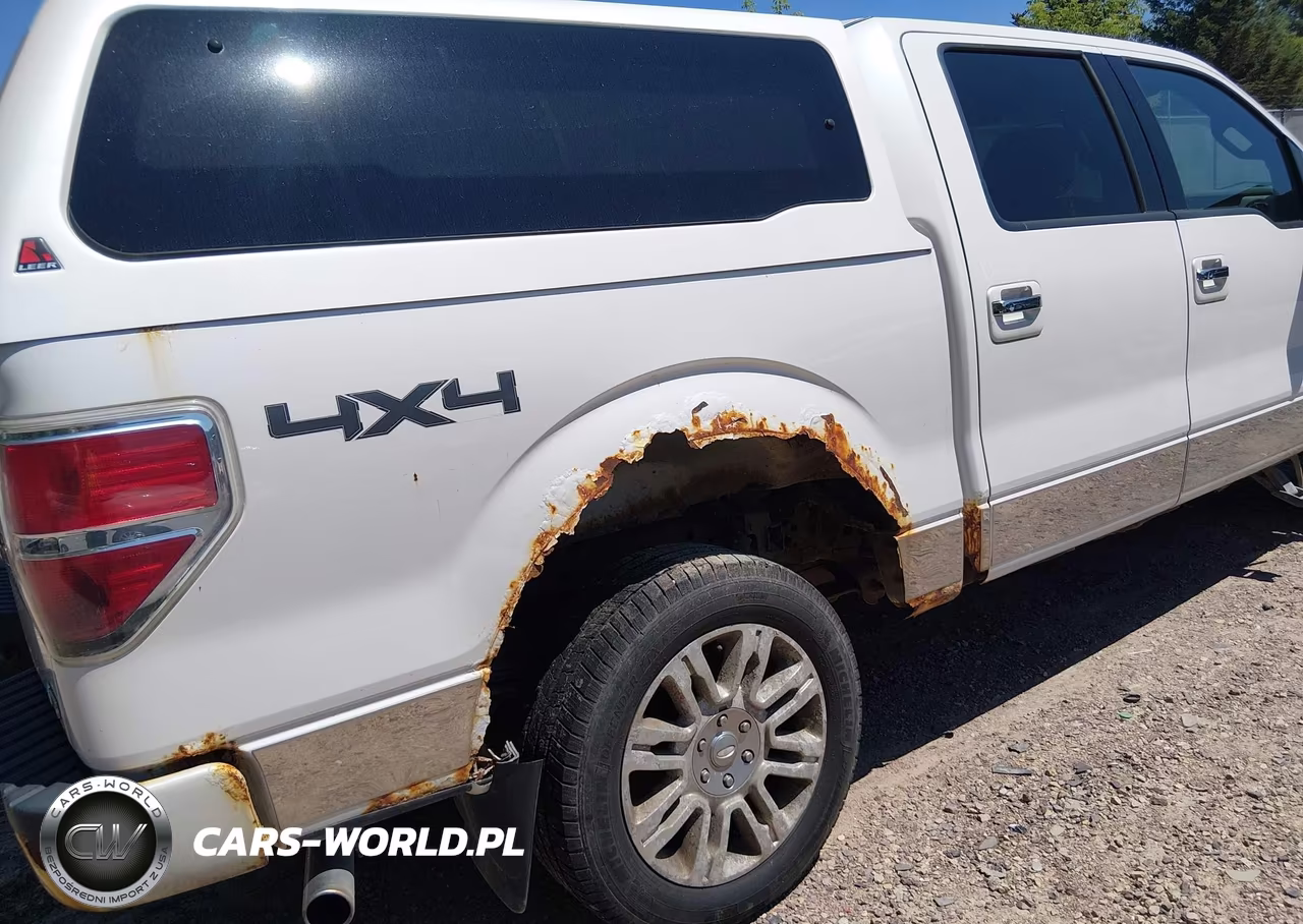 2010 Ford F-150 Fx4-Harley-Davidson-King Ranch-Lariat-Platinum-Xl-Xlt VIN:1FTFW1EV5AFB39459 - 6