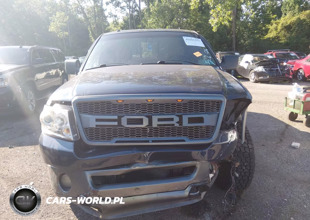 2006 Ford F-150 VIN:1FTPX14526NB75917 - 12