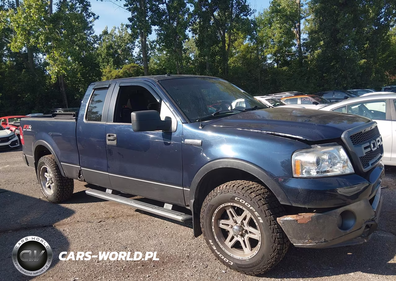 2006 Ford F-150 VIN:1FTPX14526NB75917 - 13