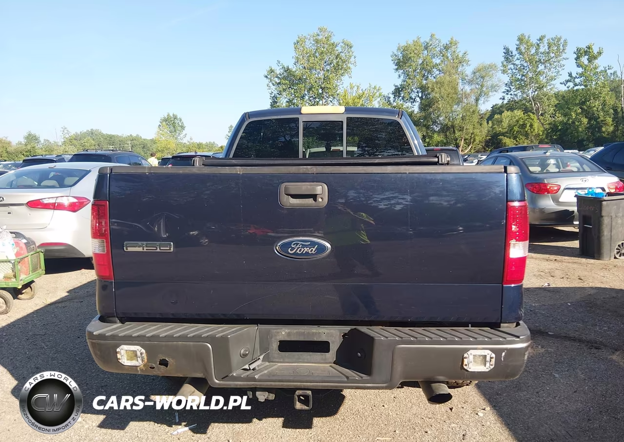 2006 Ford F-150 VIN:1FTPX14526NB75917 - 16
