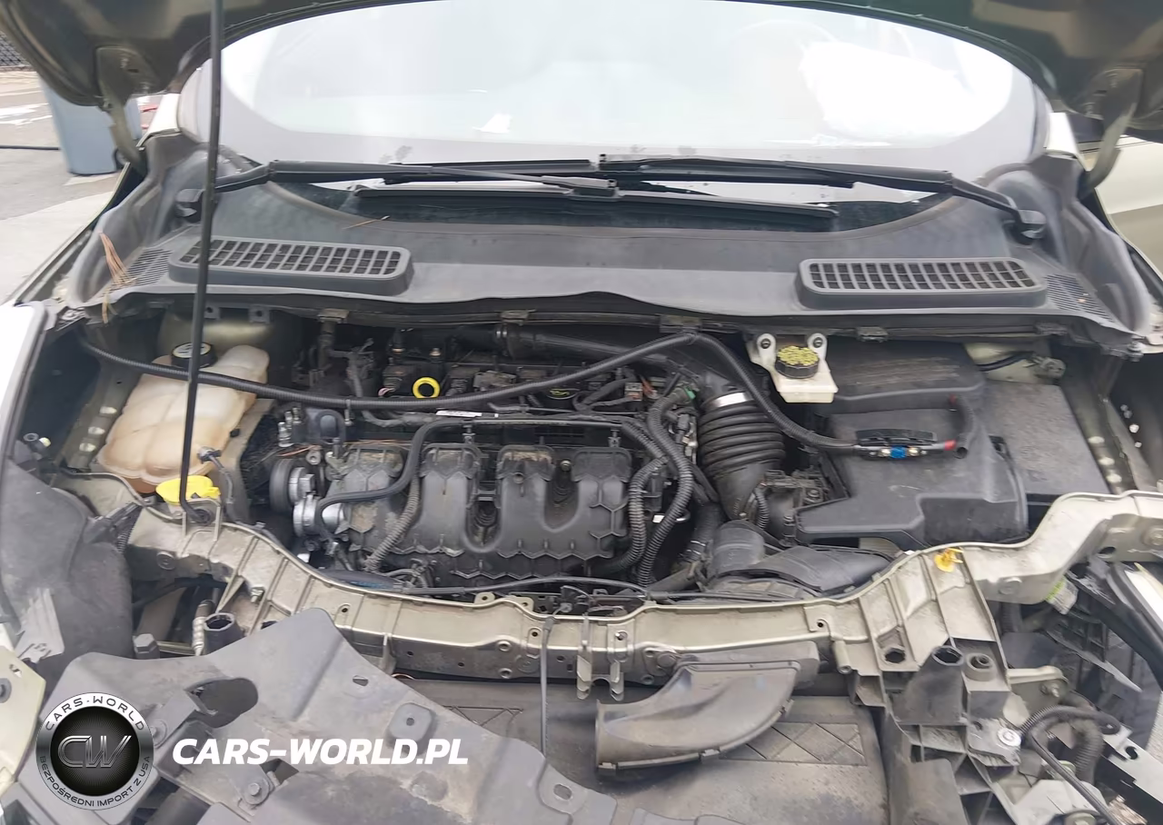 2013 Ford Escape Sel VIN:1FMCU0H97DUC19665 - 10