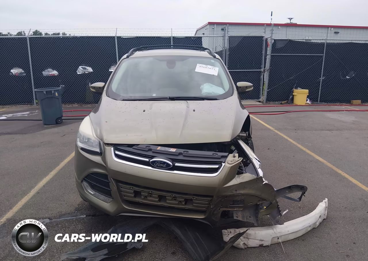 2013 Ford Escape Sel VIN:1FMCU0H97DUC19665 - 12