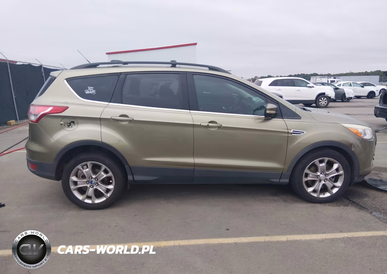 2013 Ford Escape Sel VIN:1FMCU0H97DUC19665 - 13