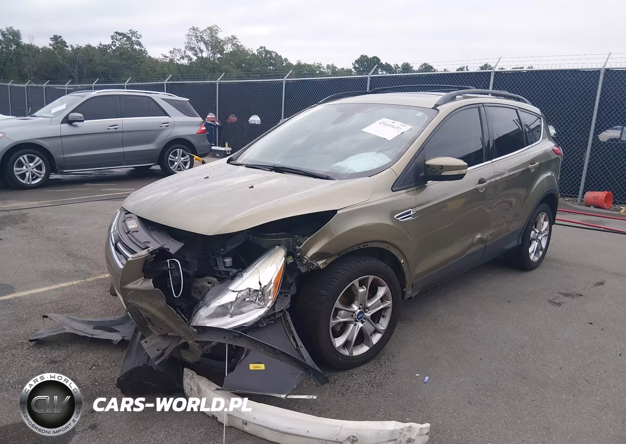 2013 Ford Escape Sel VIN:1FMCU0H97DUC19665 - 2