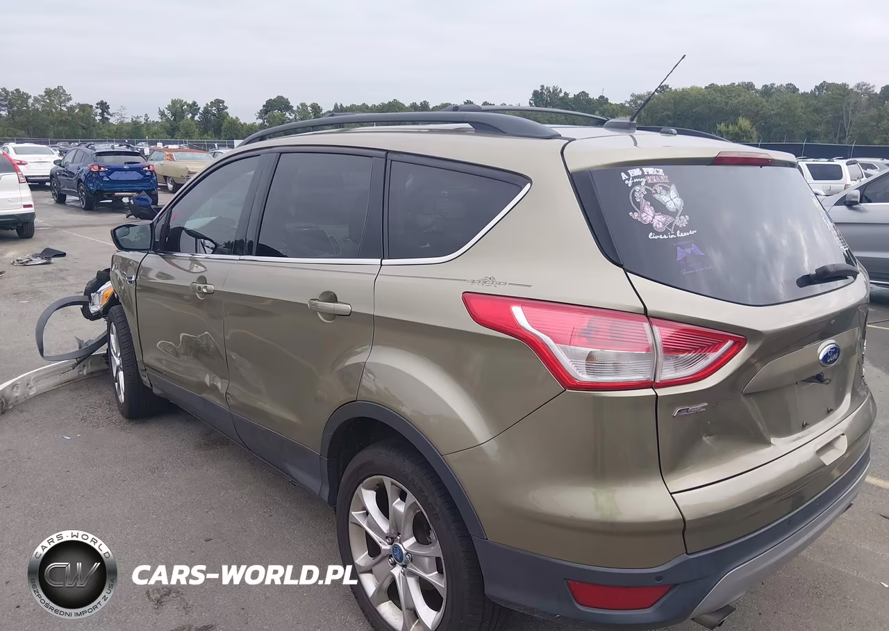 2013 Ford Escape Sel VIN:1FMCU0H97DUC19665 - 3
