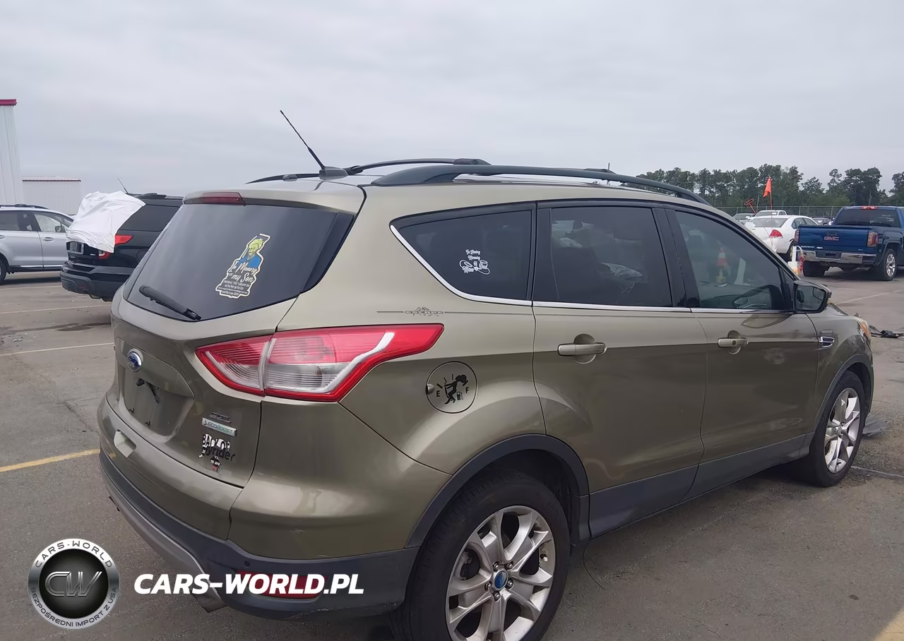 2013 Ford Escape Sel VIN:1FMCU0H97DUC19665 - 4