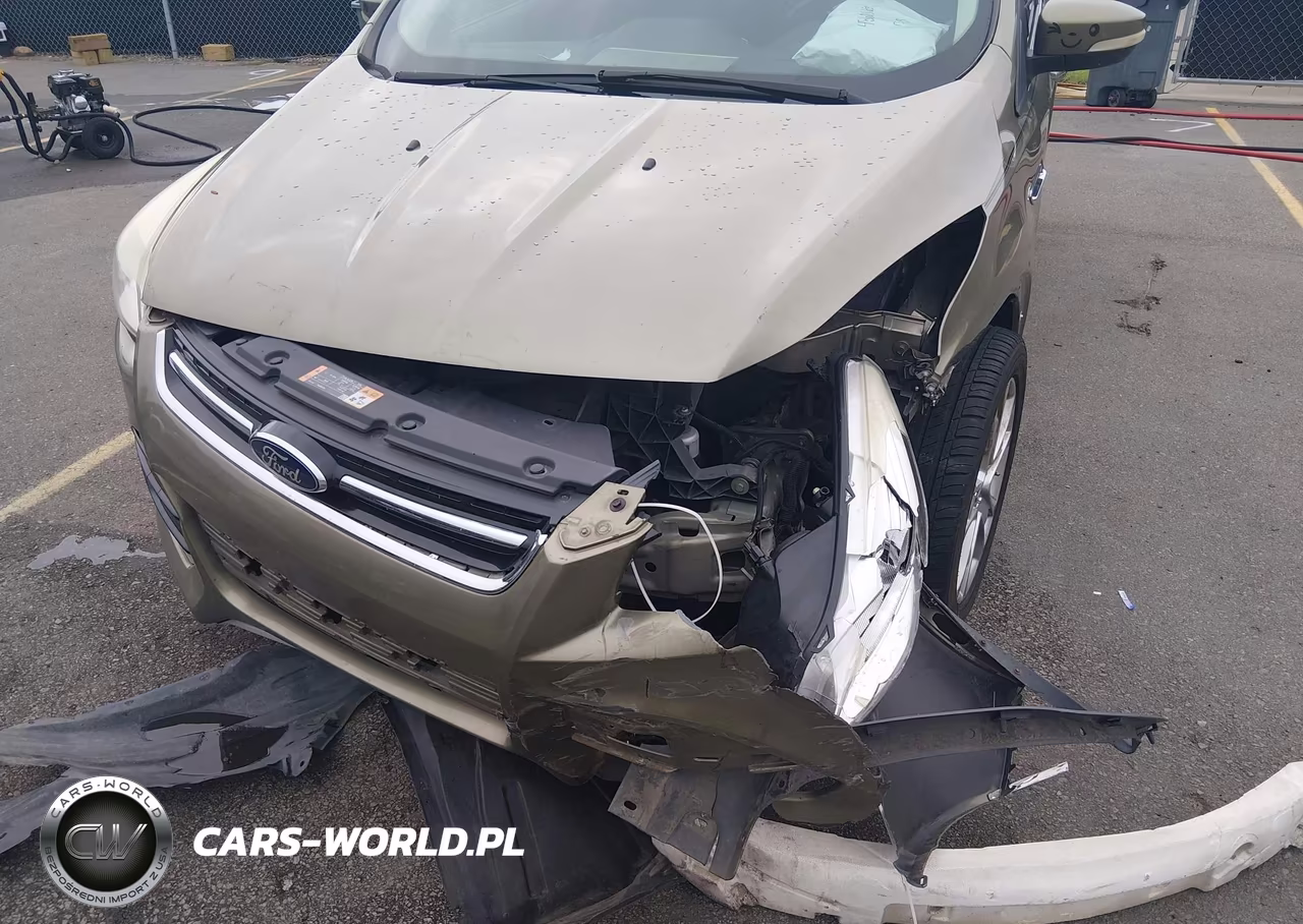 2013 Ford Escape Sel VIN:1FMCU0H97DUC19665 - 6