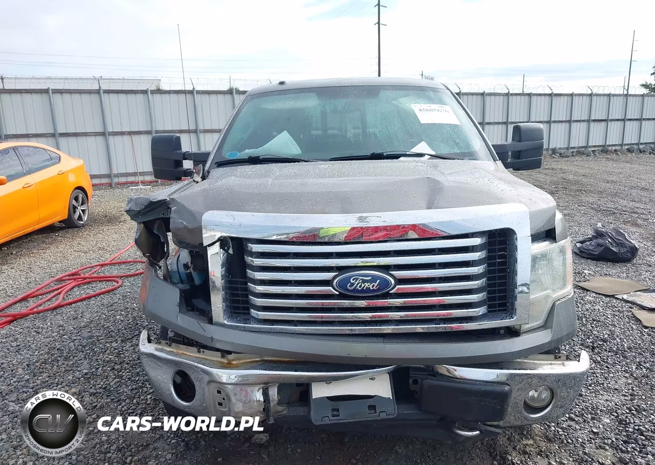 2010 Ford F-150 Fx4-Lariat-Xl-Xlt VIN:1FTFX1EV4AFA44632 - 12