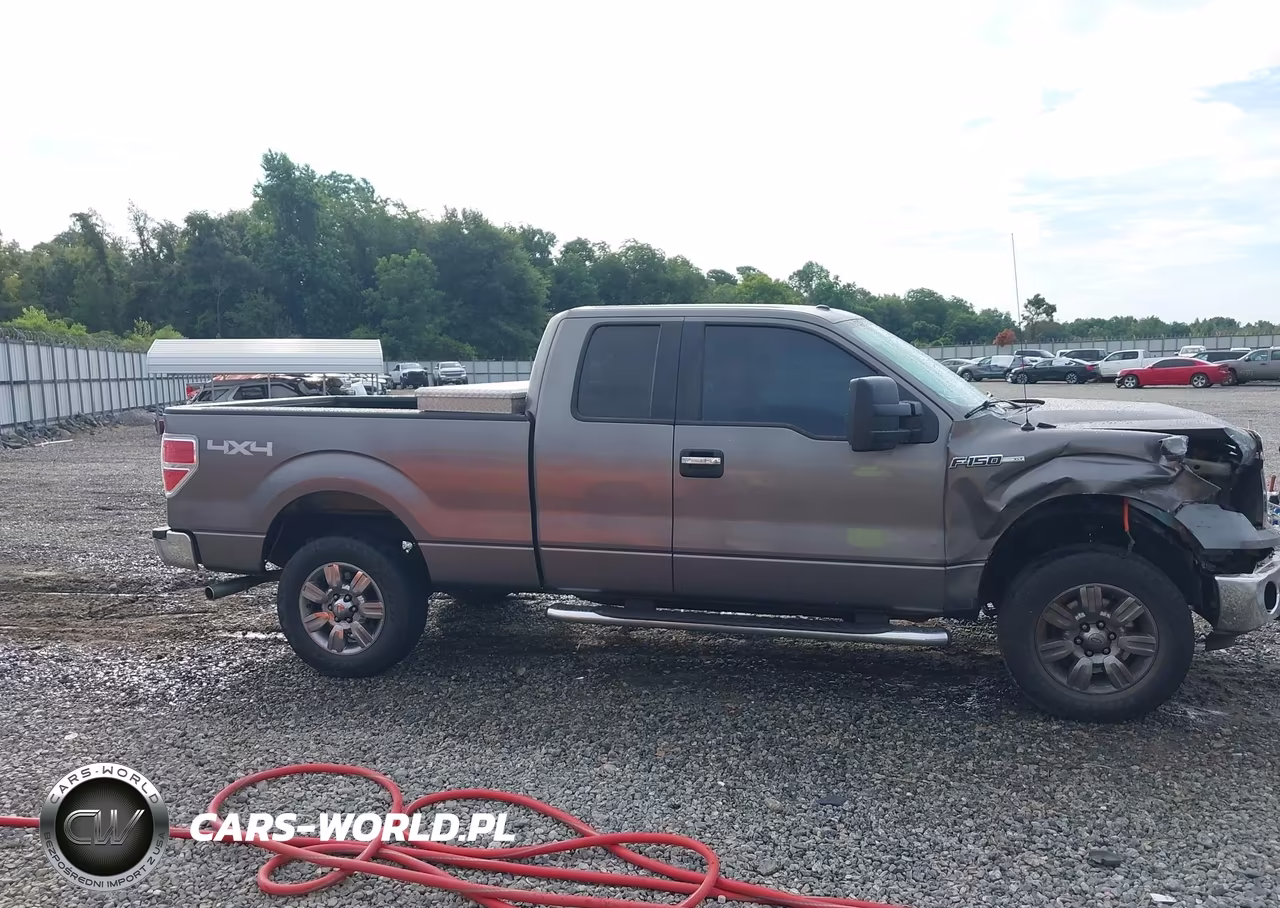 2010 Ford F-150 Fx4-Lariat-Xl-Xlt VIN:1FTFX1EV4AFA44632 - 13
