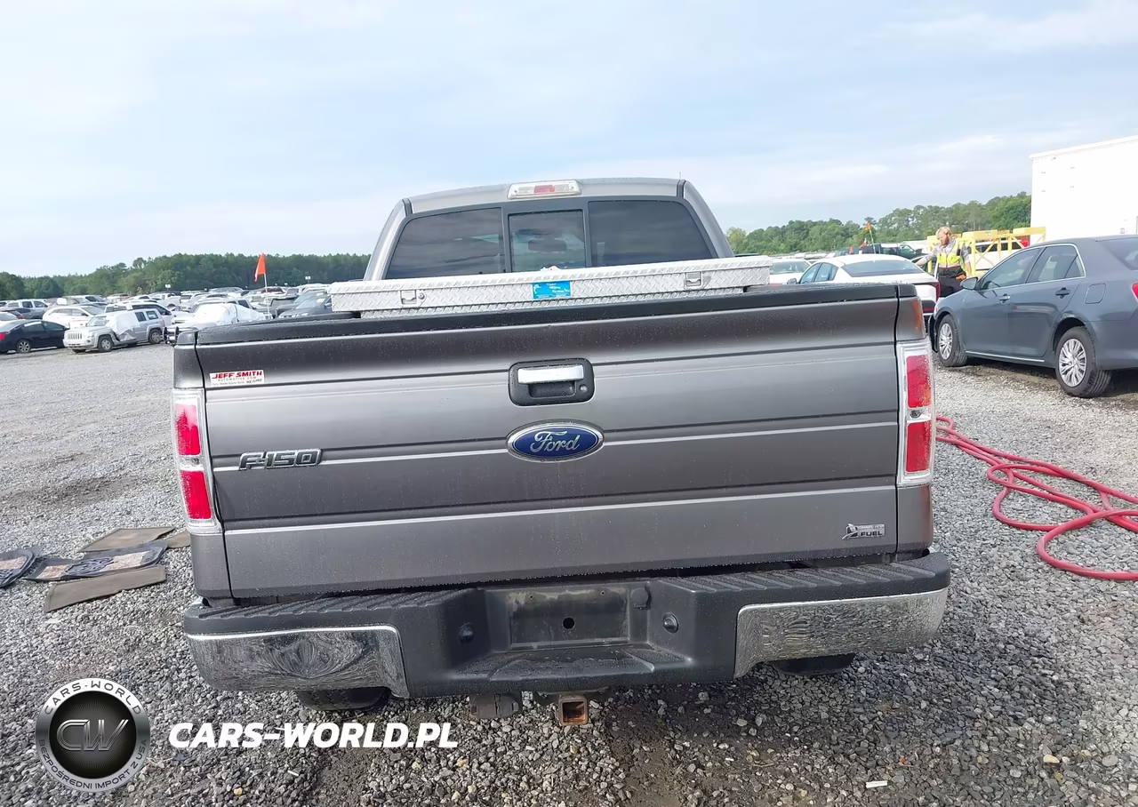 2010 Ford F-150 Fx4-Lariat-Xl-Xlt VIN:1FTFX1EV4AFA44632 - 16