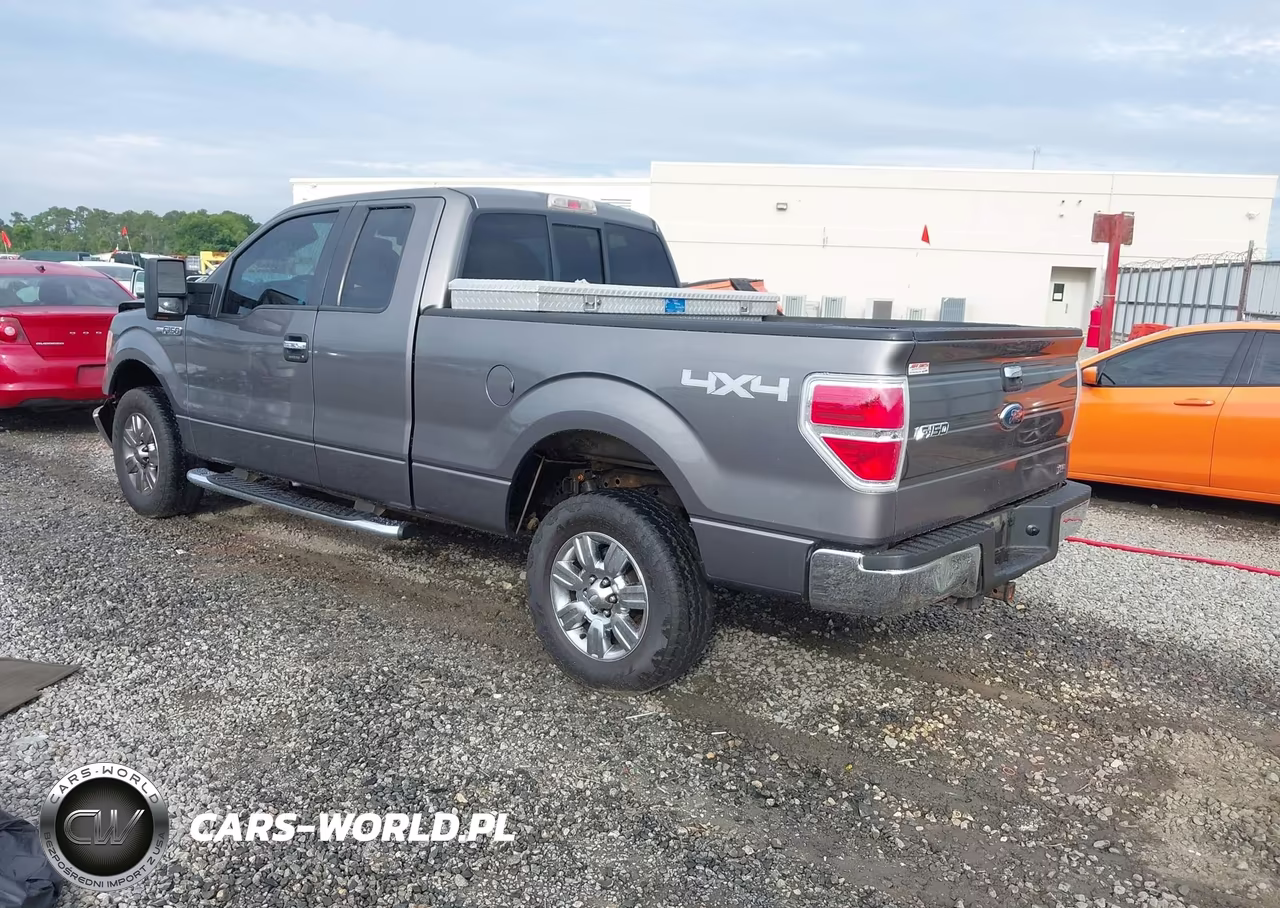 2010 Ford F-150 Fx4-Lariat-Xl-Xlt VIN:1FTFX1EV4AFA44632 - 3
